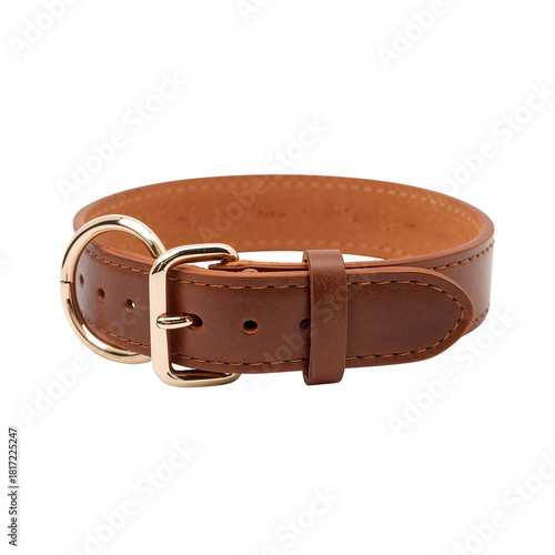 Stylish Brown Leather Collar With Gold Buckle for Pets and Fashion Accessories