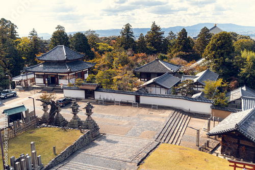 Traditional Temple Buildings Surrounded by Trees in Nara, Japan