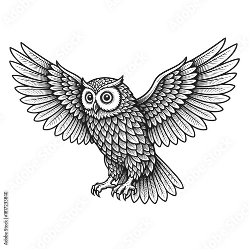 Detailed black and white illustration of an owl with spread wings, showcasing intricate feather patterns and a watchful gaze.