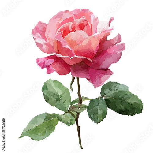 Stylized watercolor Pink Rose vector, modern artistic illustration with high-quality details on a pure white background.