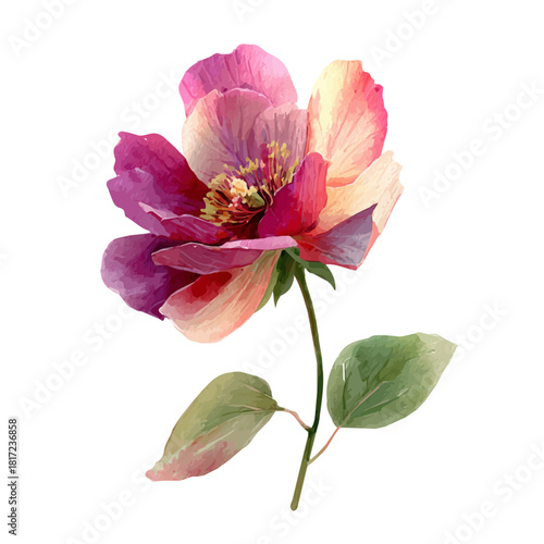 Watercolor Stock Flower vector, artistic painting style, high-resolution illustration on a pure white background.