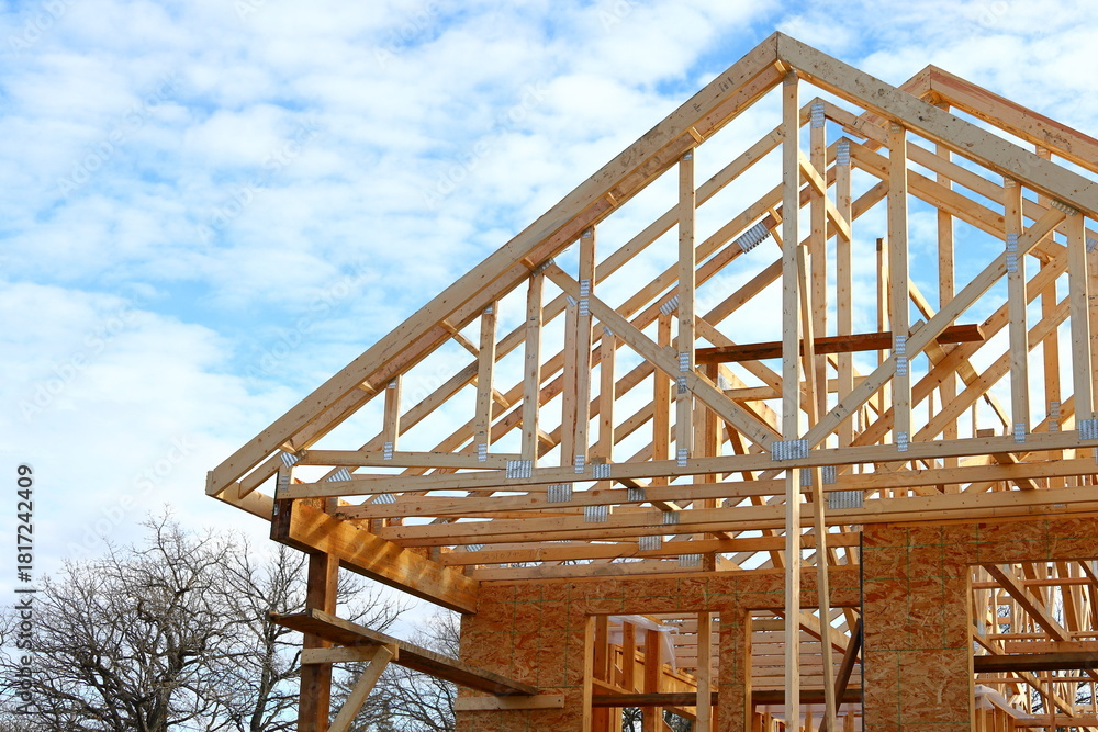 Εκτύπωση καμβά Affordable housing wooden frame construction