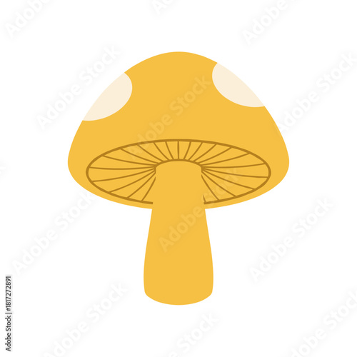 Illustration of a flat autumn vector featuring chanterelle mushrooms for a fall seasonal design, hand‑drawn for use on banners, cards, and social media
