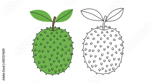 Two illustrations of soursop fruit, one in color and one as an outline drawing on a white background.