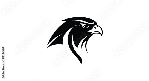 Black and white graphic of a falcon head.