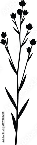 Illustration flax plant flowering minimal decorative botany silhouette vector