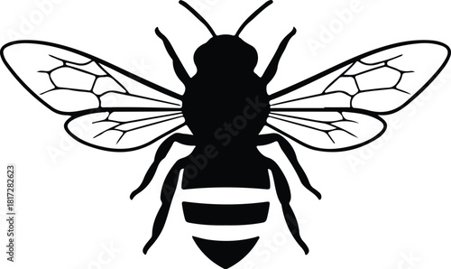 Illustration honey bee insect black and white silhouette vector
