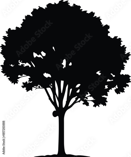 Illustration single mature tree in black and white silhouette vector