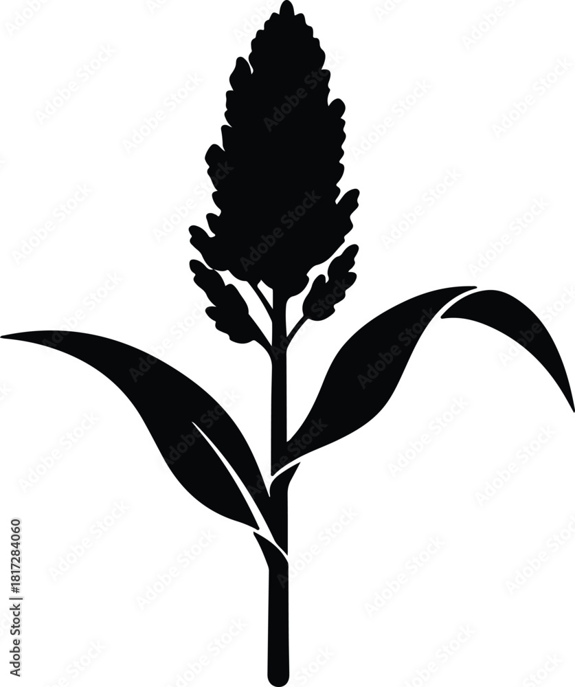 Fototapeta premium Illustration sorghum plant with leaves minimalist black silhouette vector
