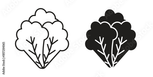 Lettuce icon with line and silhouette versions.