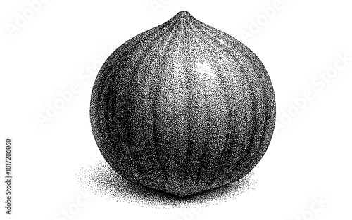 Detailed dot art of whole melon with stippling technique for modern designs