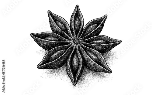 Detailed engraved star anise with stipple shading on white background