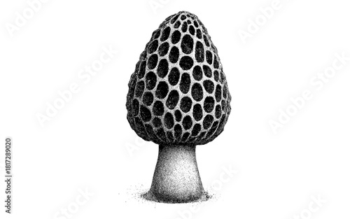 Detailed stipple morel mushroom art with textured intricate patterns