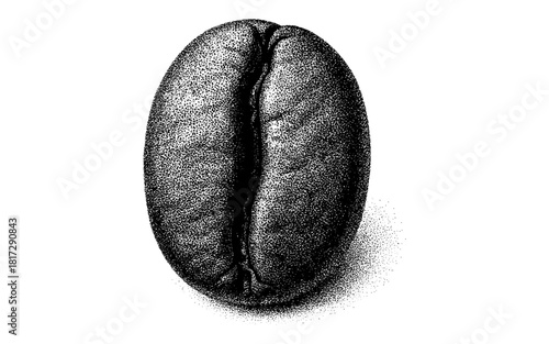 Realistic detailed coffee bean in classic black and white stipple style