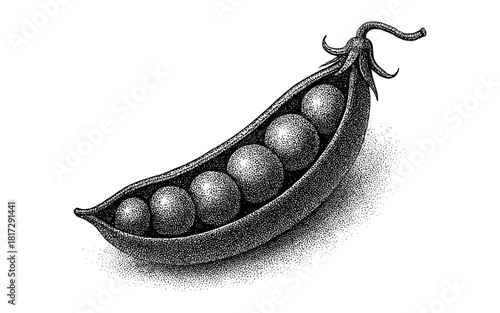 Pointillism pea pod design with realistic texture and detail
