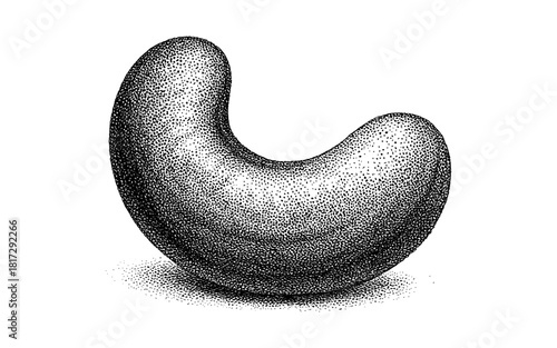 Vintage stipple cashew: detailed ink illustration with textured shading