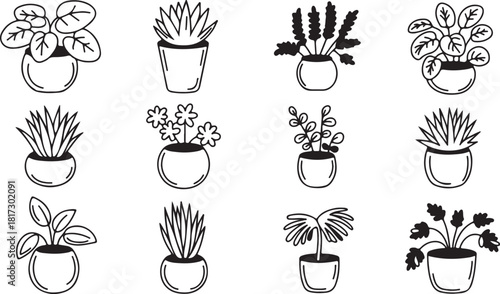 Several house plants are contained inside pots in a line drawing style that has a transparent background