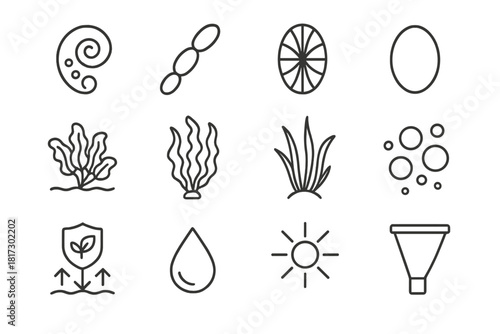 Marine Microflora Icons. Line style icons of Phytoplankton and Producers: microscopic algae, cyanobacteria, diatoms, green algae;