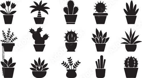 Fifteen potted plants show diverse foliage, including flowers, cacti, and succulents, as black silhouettes