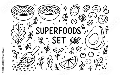 Hand-drawn superfoods set with berries, seeds, and nuts
