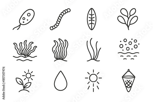 Marine Microflora Icons. Line style icons of Phytoplankton and Producers: microscopic algae, cyanobacteria, diatoms, green algae;