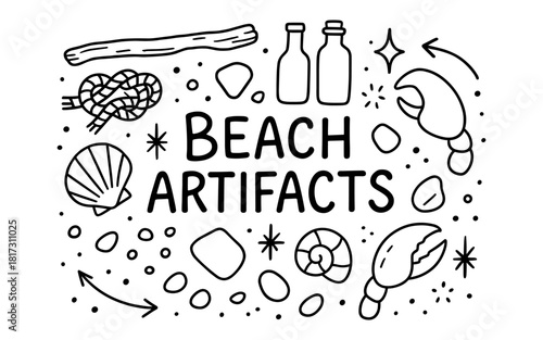 Hand drawn beach artifacts with seashells, crab claws, and driftwood