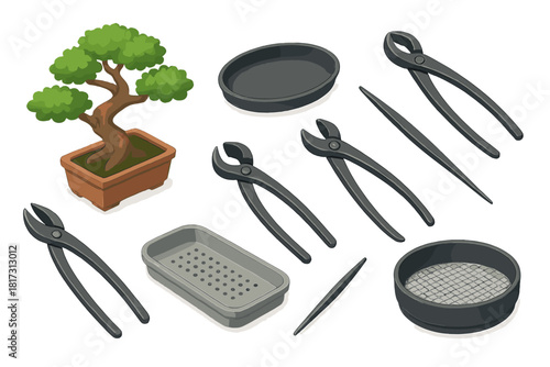 Bonsai Gardening Tools. Isometric vector illustration set of Bonsai gardening: branch cutter, concave pruner, humidity tray. Ficus