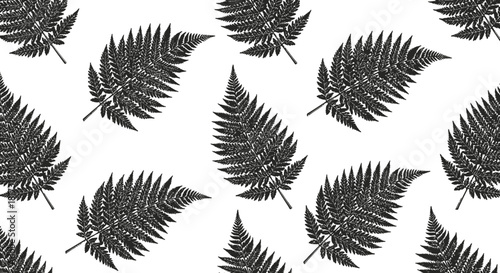 A repeating pattern of detailed black fern fronds on a white background.