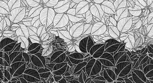 A graphic pattern featuring a dense arrangement of leaves, with the top half in light tones and the bottom half in dark tones, creating a contrasting visual.