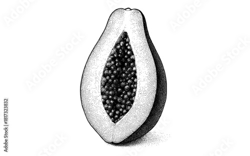 Intricate halftone cross section of papaya with detailed seeds