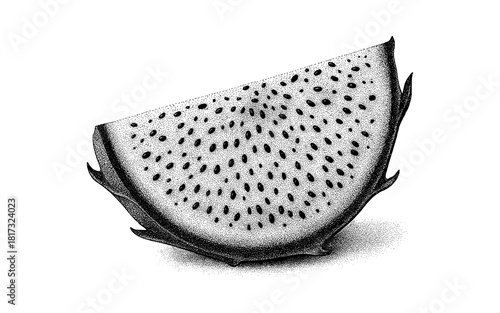 Detailed dot art of dragon fruit slice with monochrome stippling technique