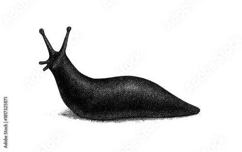 Dotwork style slug illustration with halftone texture on white background