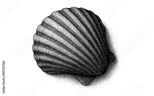 Detailed stippled seashell art with black and white dotwork for creative designs