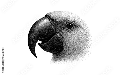 Detailed stipple art of a parrot profile with intricate dotwork technique
