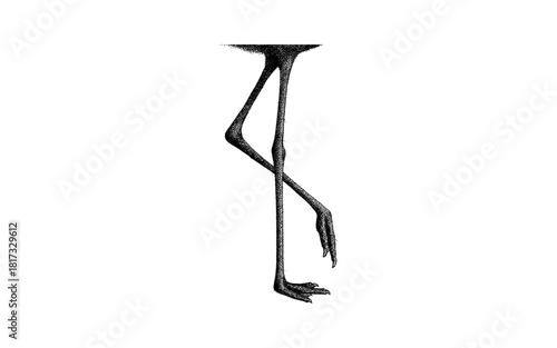 Stippled ostrich leg art: detailed black and white illustration