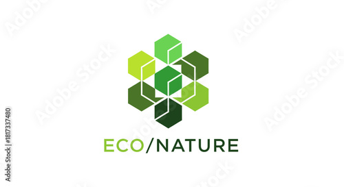 Abstract Geometric Eco Friendly Logo With Nature Inspired Colors and Design Presentation