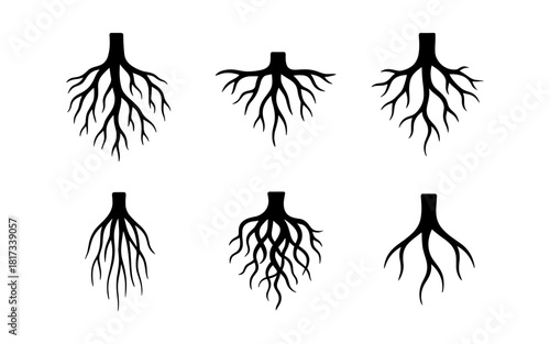 Collection of tree root silhouettes in minimalist black design on white background