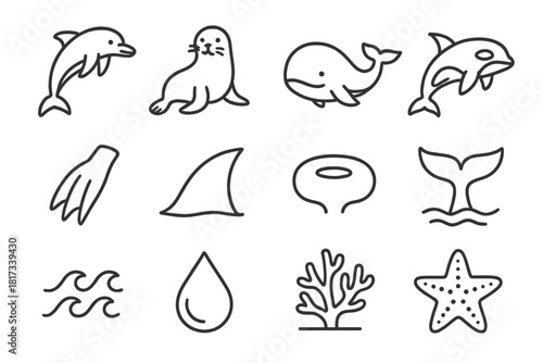 Marine Mammal Icons. Line style icons of Marine Mammals: Dolphin, Seal, Whale, Orca; Flipper, Fin, Blowhole, Tail; Wave, Water