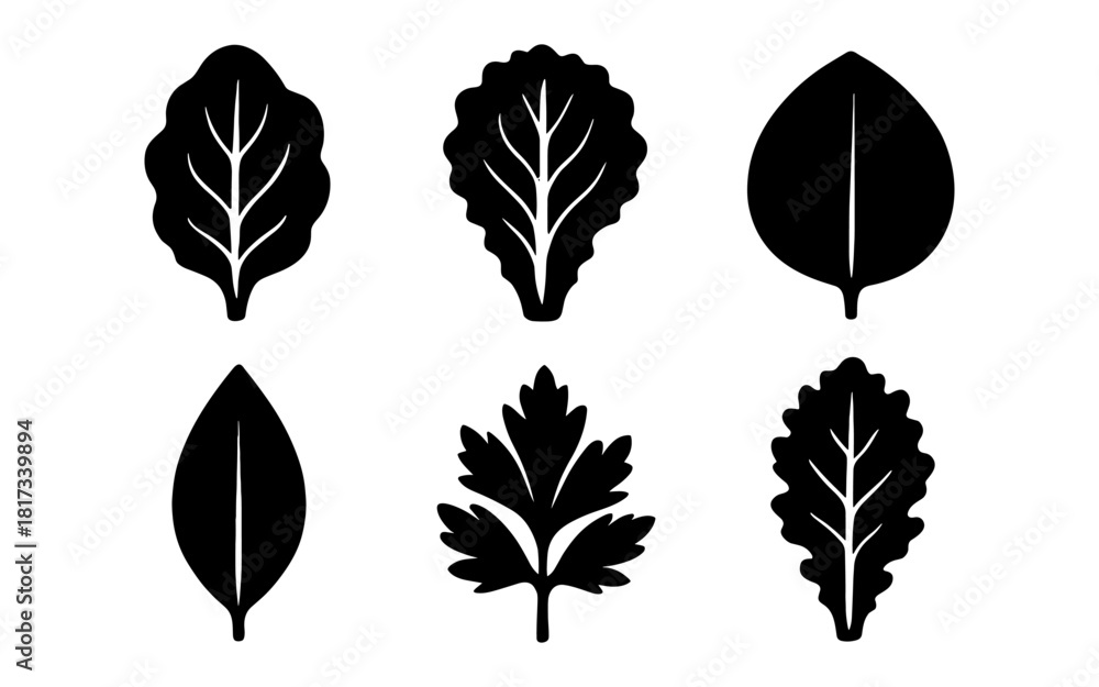 Fototapeta premium Silhouette collection of iconic leaf designs in minimalist style