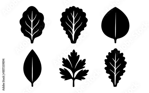 Silhouette collection of iconic leaf designs in minimalist style