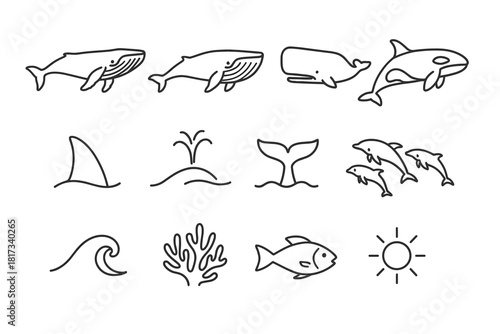 Whale Species Icons. Line style icons of Whale Species: Humpback, Blue Whale, Sperm Whale, Orca; Fin, Blowhole, Tail, Pod; Wave,