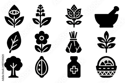 Ethnopharmacology Icons. Solid style icons of Ethnopharmacology: sacred plant, medicinal herb, cultural flora, mortar and pestle,