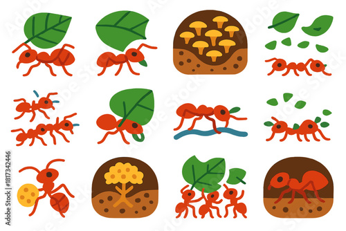 Leafcutter Ant Icons. Flat vector icons of leafcutter ants: ant cutting leaf, ant carrying leaf piece, fungus garden chamber, leaf