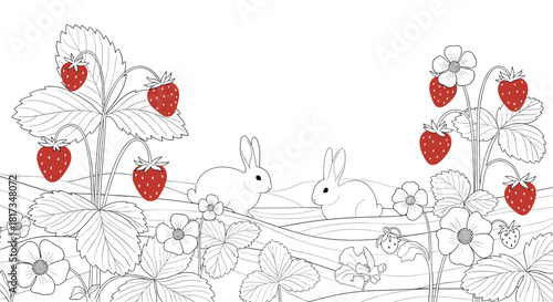 Beautiful coloring page style illustration of two cute rabbits in a strawberry field with ripe red berries and flowers.