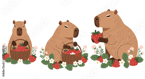 Adorable collection of three cute cartoon capybaras with baskets of fresh red strawberries isolated on a white background.