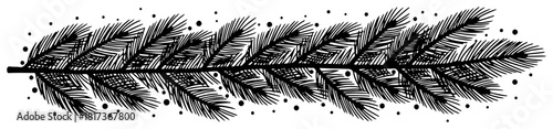 Pine tree branch vector illustration in vintage engraving style showing detailed fir twig for Christmas decoration or nature border
