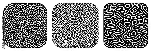 Set of organic reaction diffusion vector textures featuring black and white brain coral patterns in squares