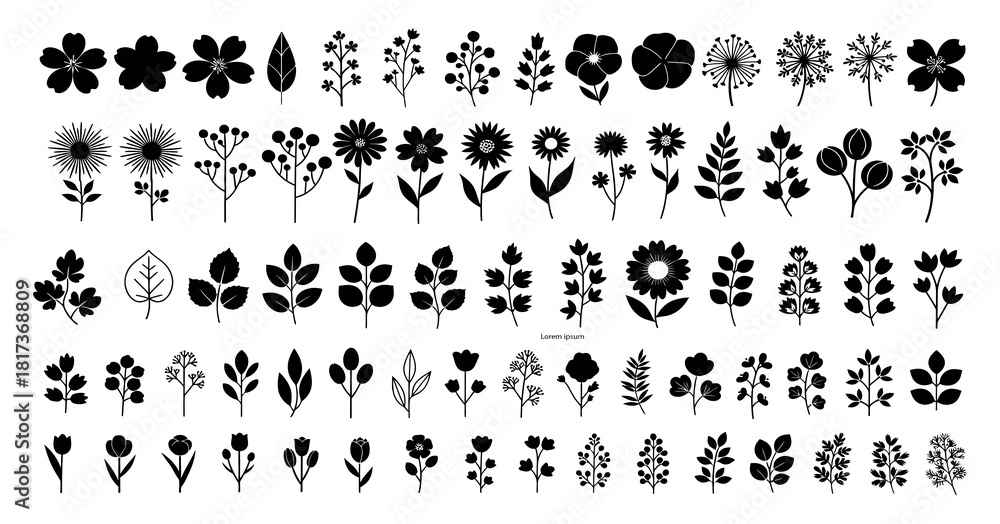 Obraz premium Collection of black flower and leaf silhouettes on white