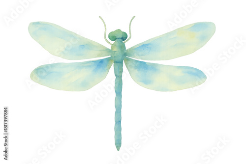 Dragonfly artwork in watercolor with a pastel blue and green palette, depicting nature, freedom and lightness. Transparent background