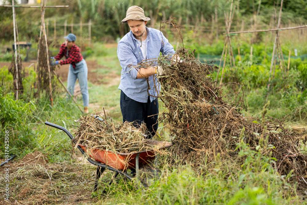 Fototapeta premium While working in backyard, girl collects branches, eliminates pile of garbage and waste, puts branches in wheelbarrow. He cleans up in front of country house and on patio